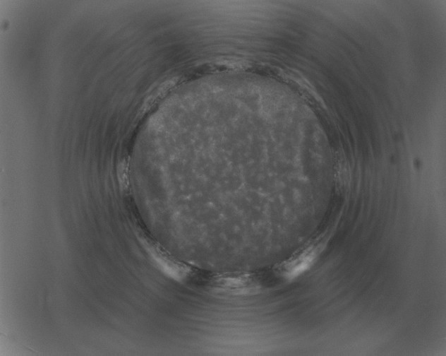 X0000078290285200612011817