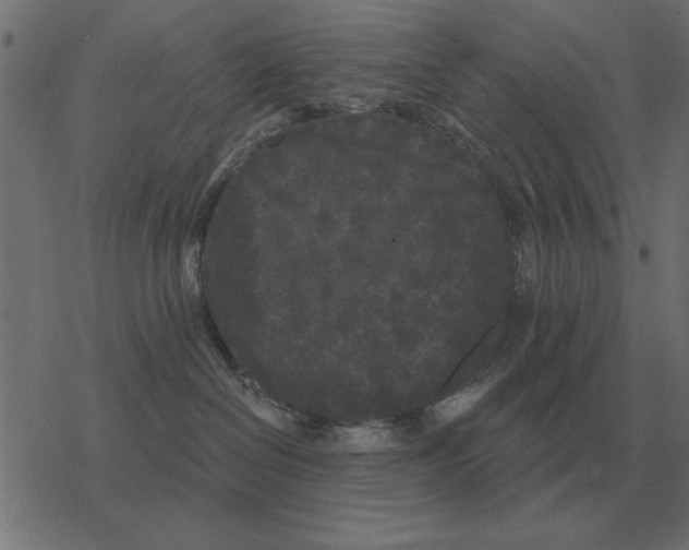 X0000078290286200612011817