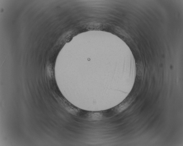 X0000078290287200612011817