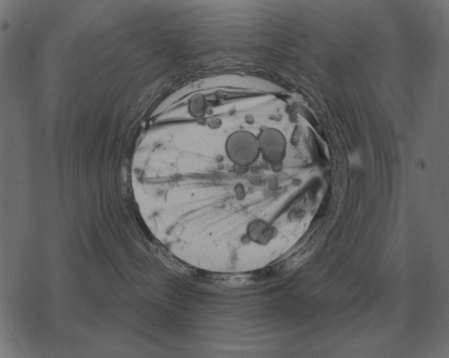 X0000078290288200612011817