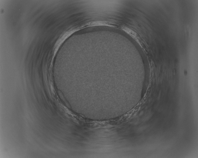 X0000078290289200612011816