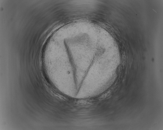 X0000078290290200612011816