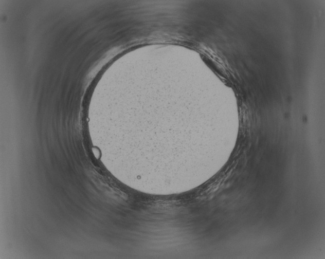 X0000078290292200612011816