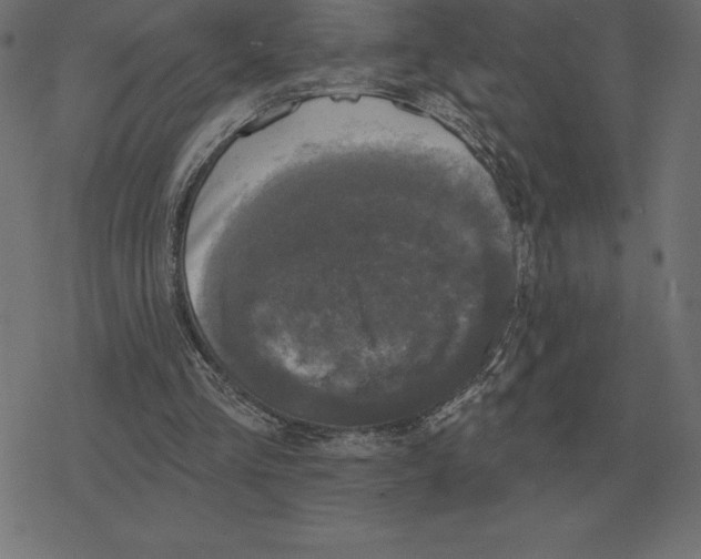 X0000078290293200612011816