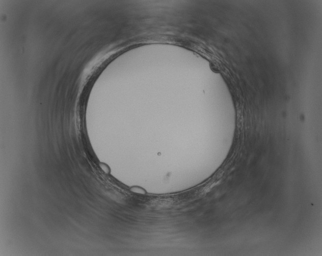 X0000078290294200612011816