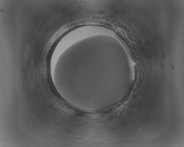 X0000078290295200612011816