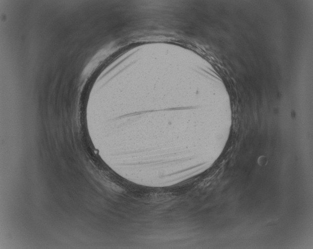 X0000078290296200612011816