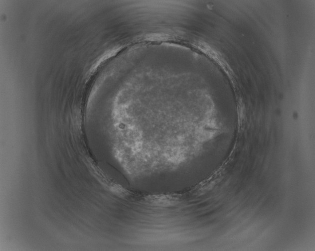 X0000078290297200612011816