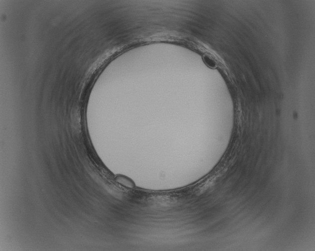 X0000078290298200612011816