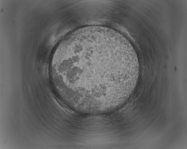 X0000078290299200612011816