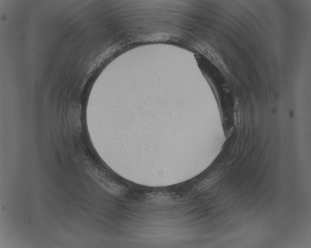 X0000078290300200612011816