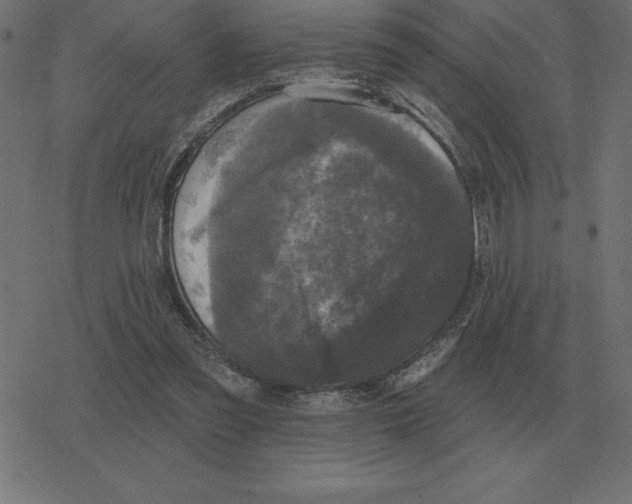 X0000078290301200612011816