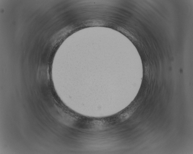 X0000078290302200612011816