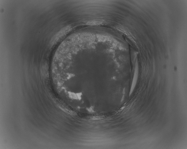 X0000078290303200612011816