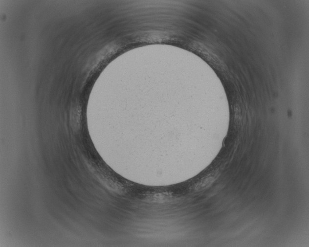 X0000078290304200612011816