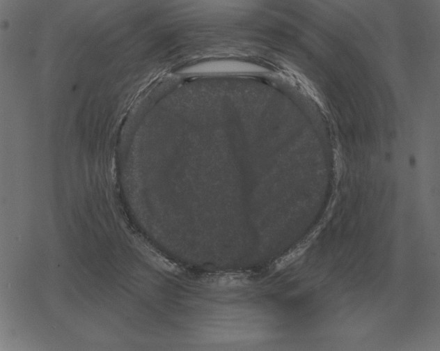 X0000078290305200612011816