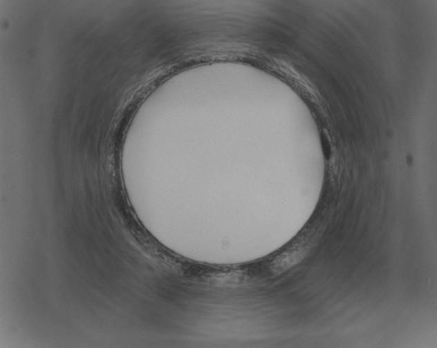 X0000078290306200612011816