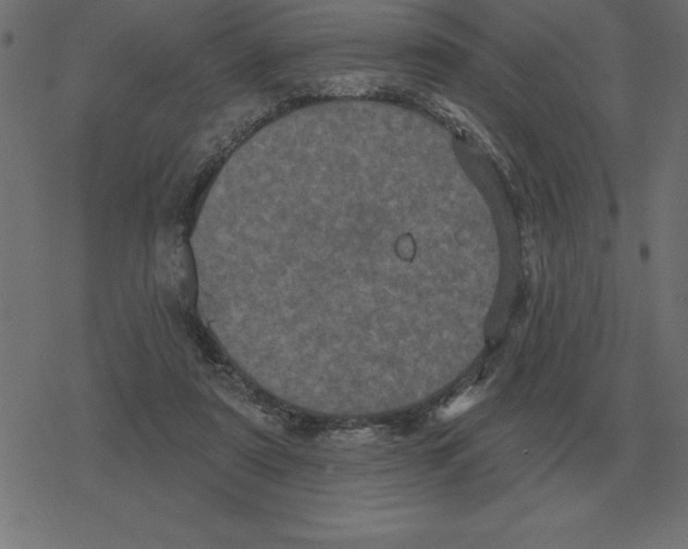 X0000078290307200612011816