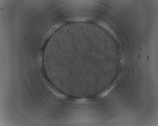 X0000078290309200612011816