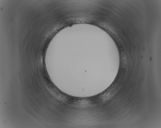 X0000078290310200612011816