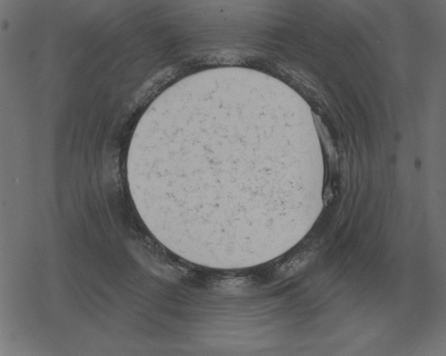 X0000078290312200612011816