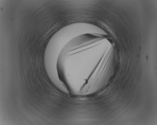 X0000078290313200612011815