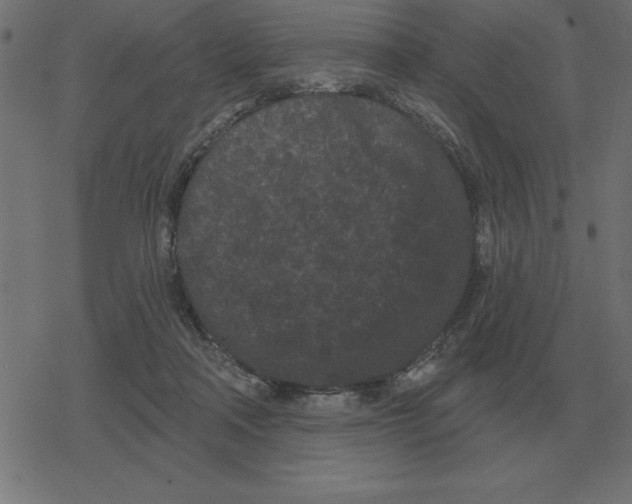 X0000078290314200612011815