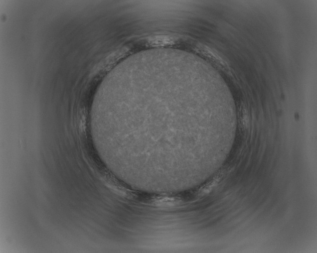 X0000078290315200612011815