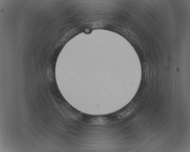 X0000078290316200612011815