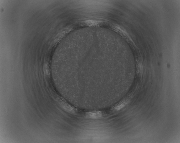 X0000078290317200612011815