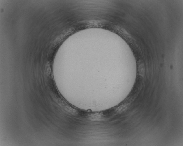 X0000078290318200612011815