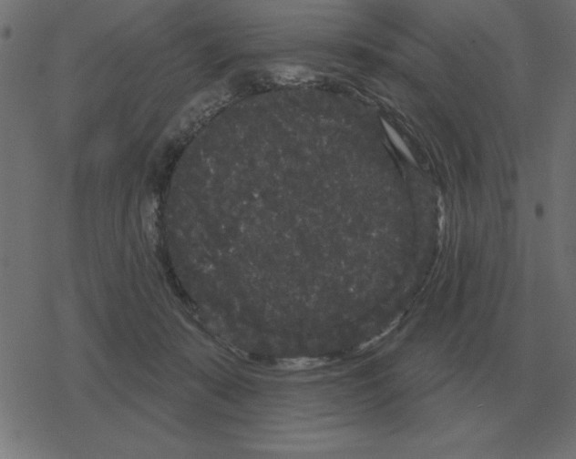 X0000078290319200612011815