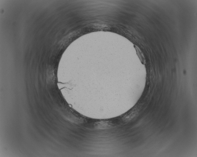 X0000078290320200612011815