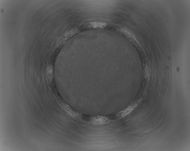 X0000078290321200612011815