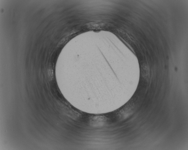 X0000078290324200612011815