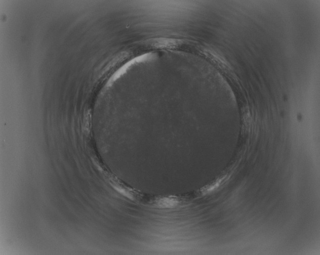 X0000078290325200612011815