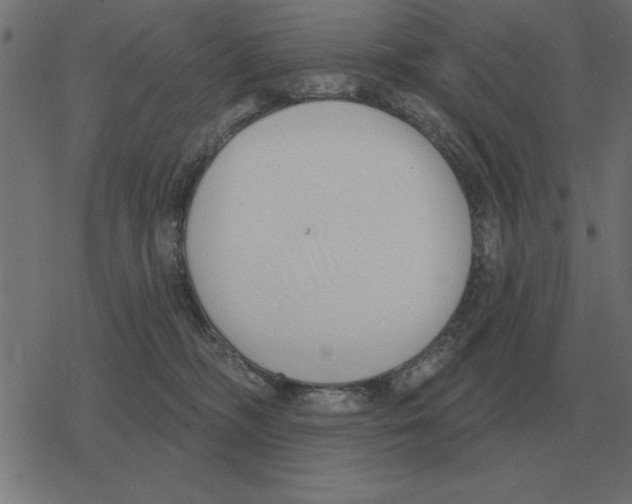 X0000078290326200612011815