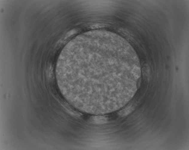 X0000078290327200612011815