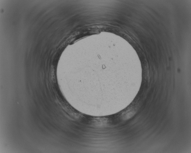 X0000078290328200612011815