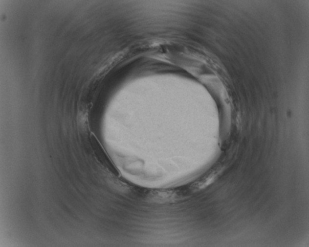 X0000078290329200612011815