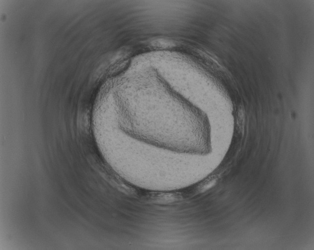 X0000078290330200612011815