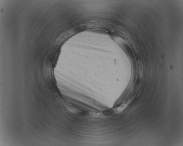 X0000078290333200612011815