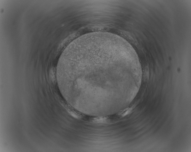 X0000078290335200612011815