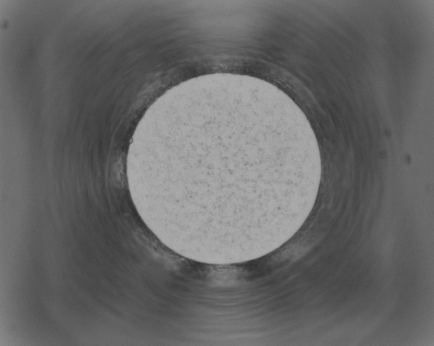 X0000078290336200612011815