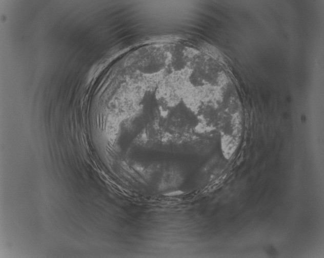 X0000078290337200612011814