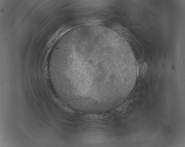 X0000078290339200612011814