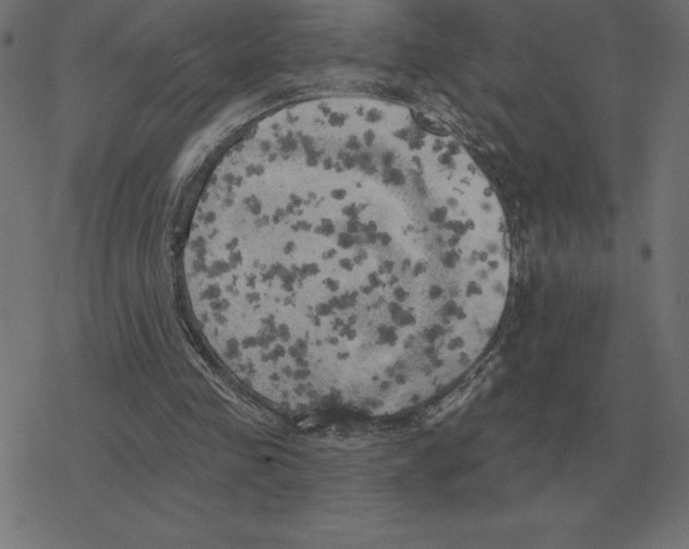 X0000078290341200612011814