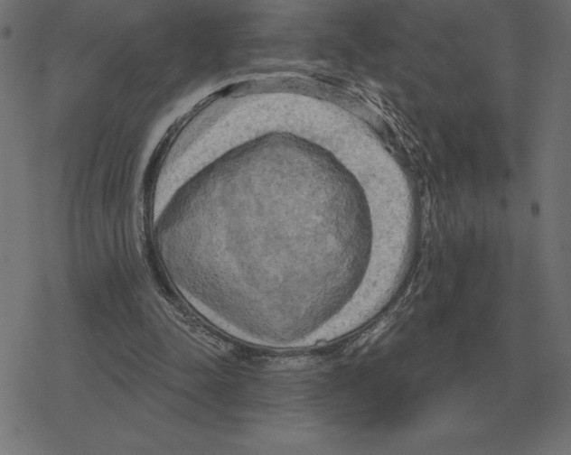 X0000078290342200612011814