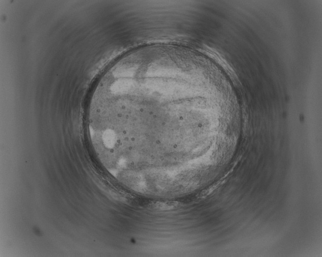 X0000078290346200612011814