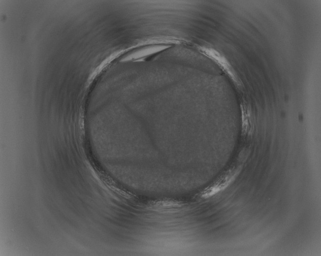 X0000078290348200612011815